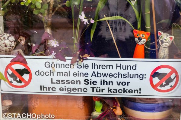 Doprajte svojmu psovi zmenu. Nechajte ho kakať pred vašimi dverami