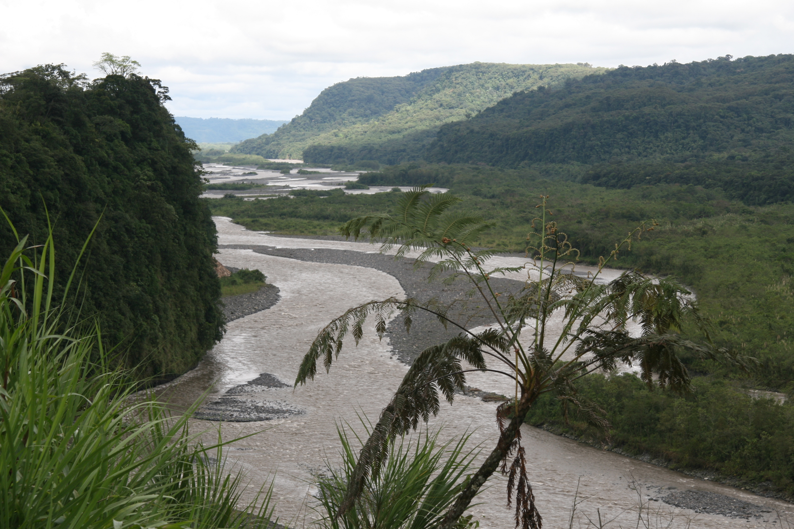 Rieka v Ekvadorskom pralese