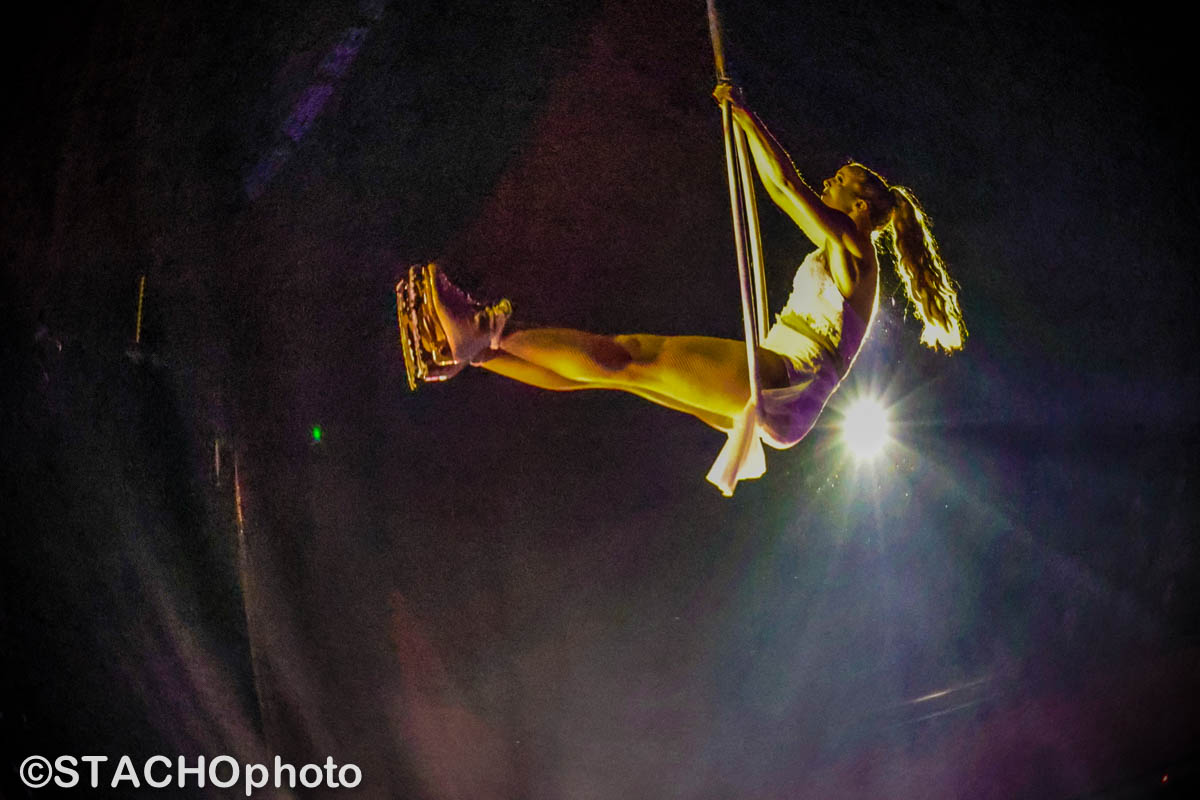 Umelecká dokonalost