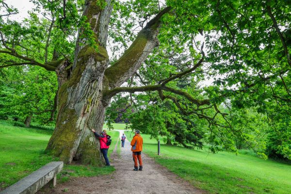 V zamockom parku v Putbuse